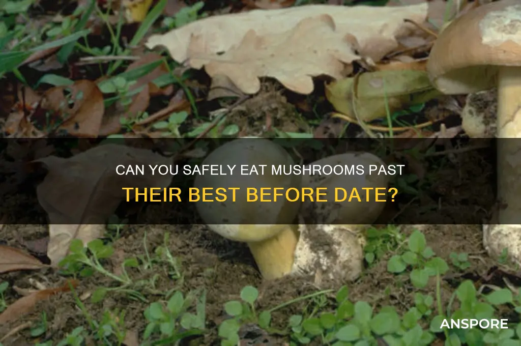 is it ok to eat mushrooms after best before date