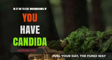 Can You Eat Mushrooms with Candida? Expert Insights and Advice