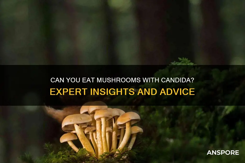is it ok to eat mushrooms if you have candida