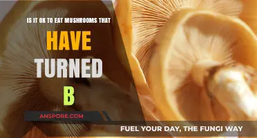 Are Mushrooms Safe to Eat Once They've Turned Brown?