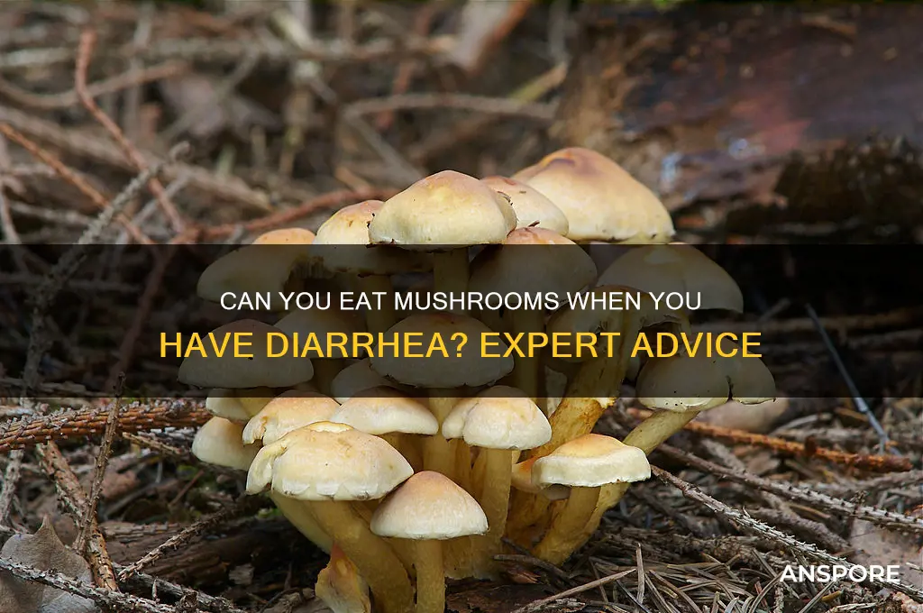 is it ok to eat mushrooms when you have diarrhea