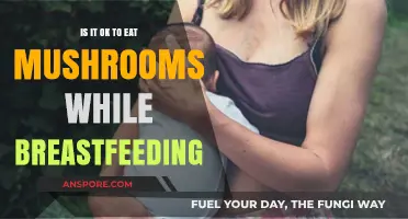 Breastfeeding and Mushrooms: Safe or Risky for Nursing Moms?