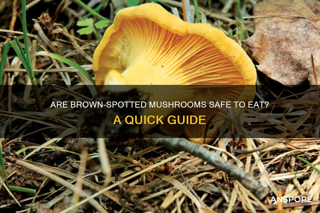 is it ok to eat mushrooms with brown spots