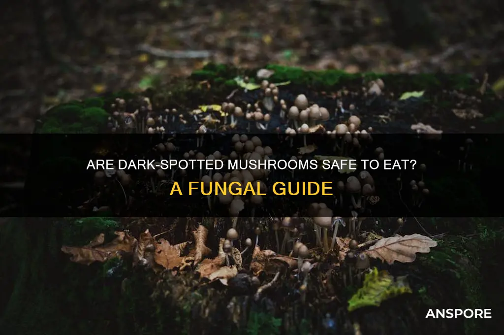 is it ok to eat mushrooms with dark spots