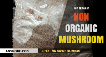 Are Non-Organic Mushrooms Safe to Eat? A Health Guide