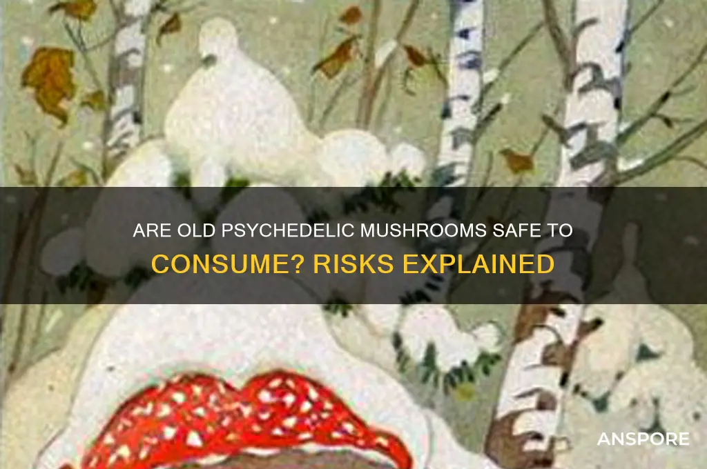 is it ok to eat old psychedelic mushrooms