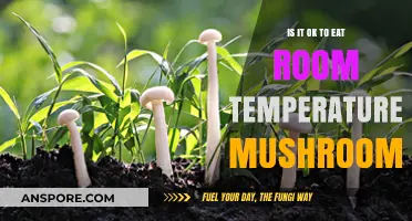 Room Temperature Mushrooms: Safe to Eat or Risky Choice?