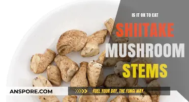Can You Eat Shiitake Mushroom Stems? A Tasty Truth Revealed