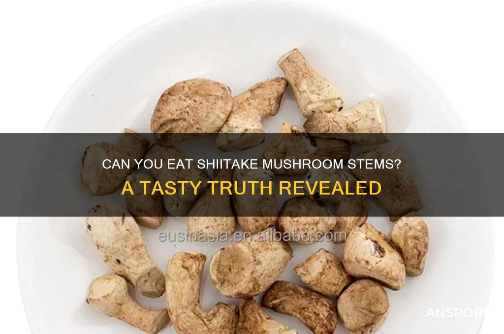 is it ok to eat shiitake mushroom stems