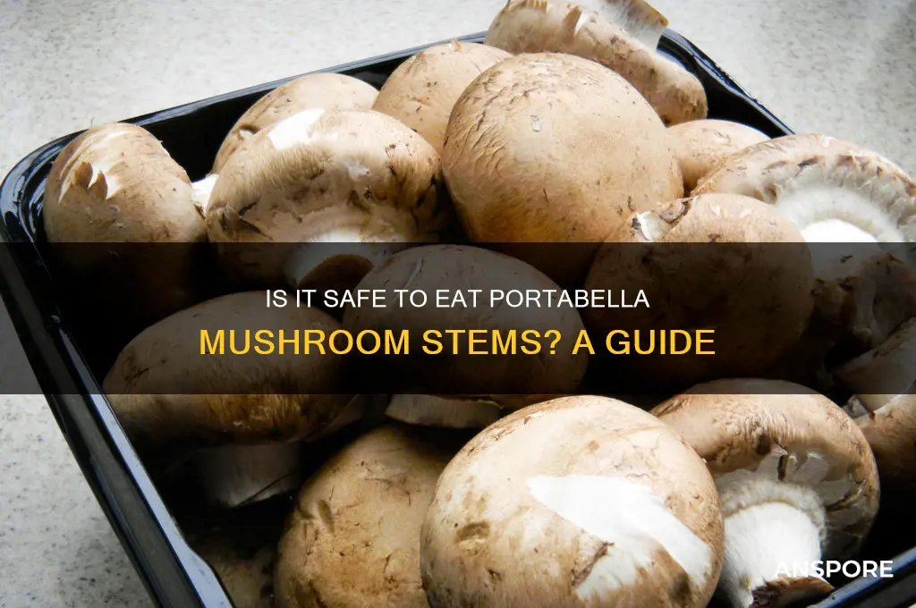 is it ok to eat the portabella mushroom ste
