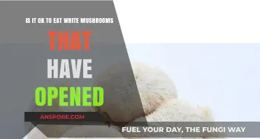 Opened White Mushrooms: Safe to Eat or Toss Out?