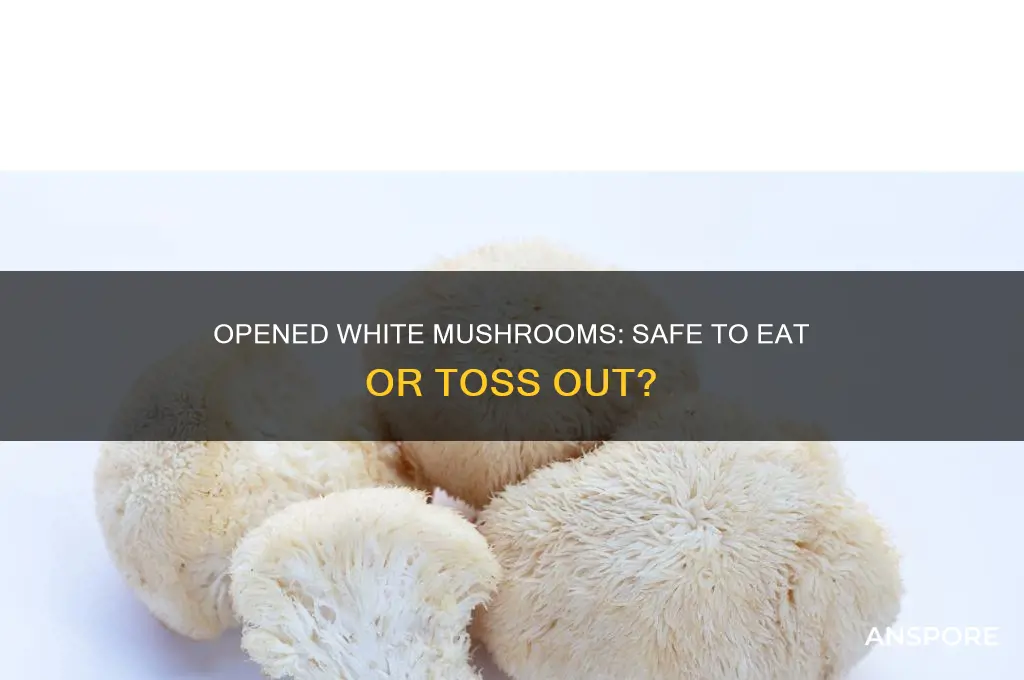 is it ok to eat white mushrooms that have opened