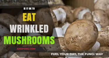 Are Wrinkled Mushrooms Safe to Eat? A Quick Guide
