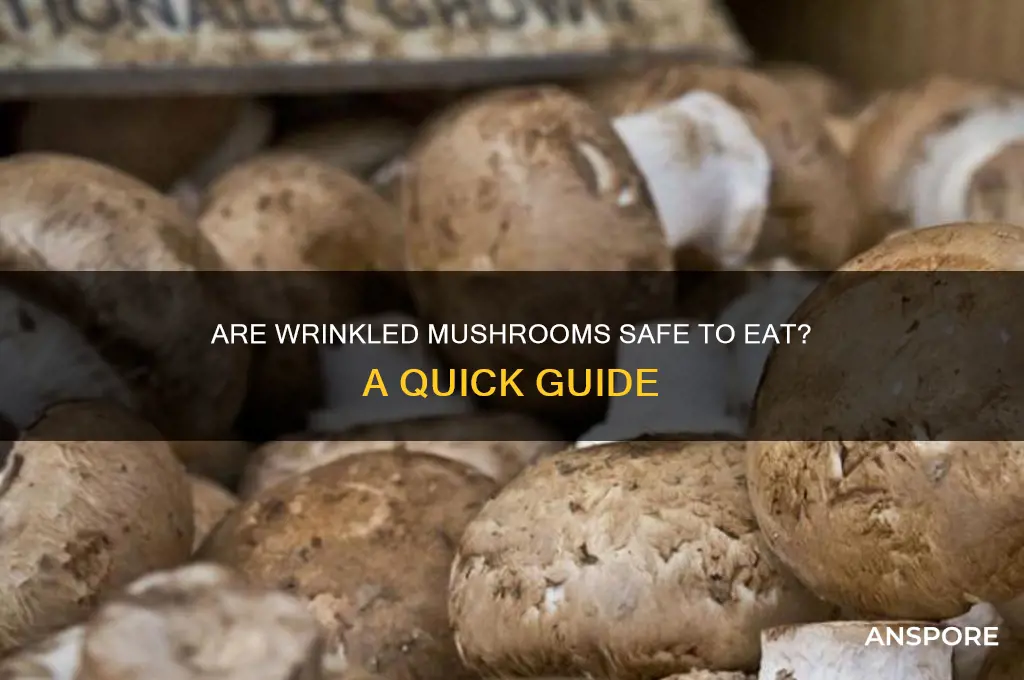is it ok to eat wrinkled mushrooms