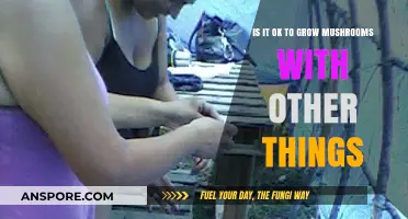 Growing Mushrooms with Other Plants: Benefits, Risks, and Best Practices