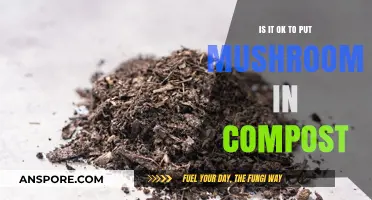 Composting Mushrooms: Benefits, Risks, and Best Practices for Healthy Soil