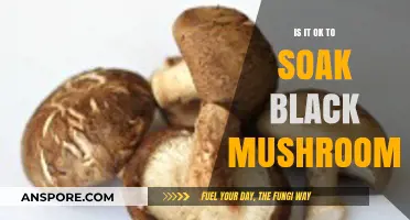 Soaking Black Mushrooms: Benefits, Risks, and Best Practices Explained