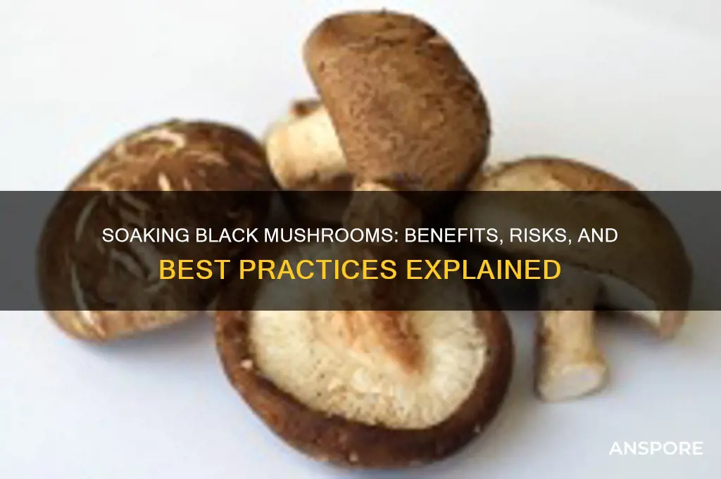 is it ok to soak black mushrooms