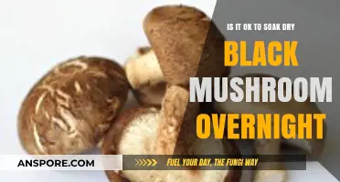 Soaking Dry Black Mushrooms Overnight: Best Practices and Tips