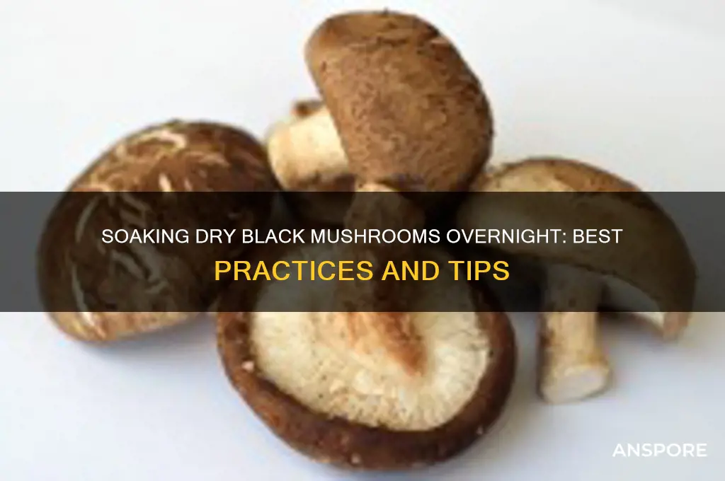 is it ok to soak dry black mushrooms overnight