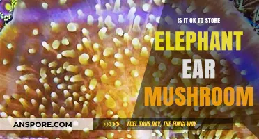 Storing Elephant Ear Mushrooms: Best Practices and Safety Tips