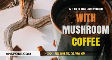 Levothyroxine and Mushroom Coffee: Safe Combination or Risky Mix?
