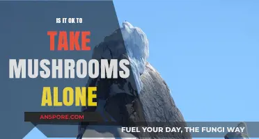 Solo Mushroom Trips: Safety, Benefits, and Risks of Going Alone