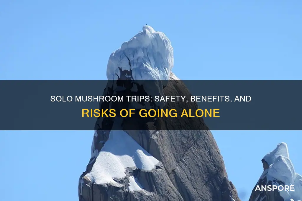 is it ok to take mushrooms alone