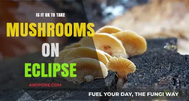 Mushrooms and Eclipses: Safe or Risky? Exploring the Myth