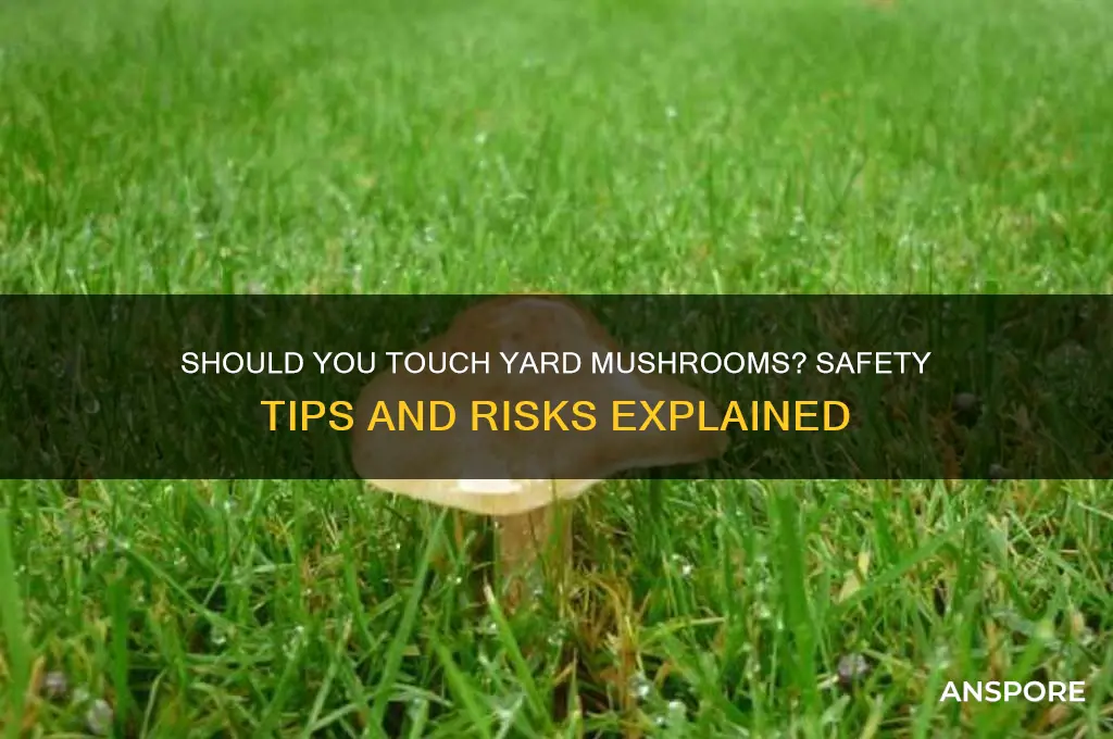 is it ok to touch mushrooms in your yard