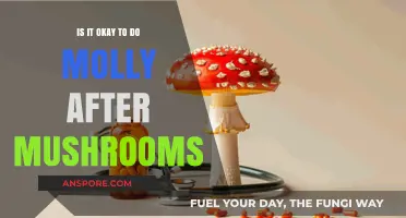 Mixing Molly and Mushrooms: Safe or Risky Combination?