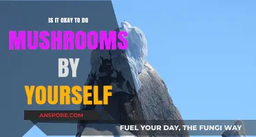 Solo Mushroom Trips: Safe, Risky, or Transformative? Expert Insights