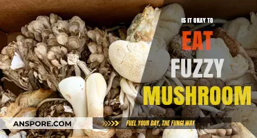Fuzzy Mushrooms: Safe to Eat or Toxic Danger?
