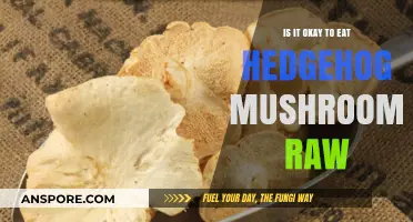 Can You Eat Hedgehog Mushrooms Raw? Safety and Risks Explained