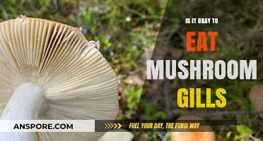 Can You Eat Mushroom Gills? Safety and Culinary Insights
