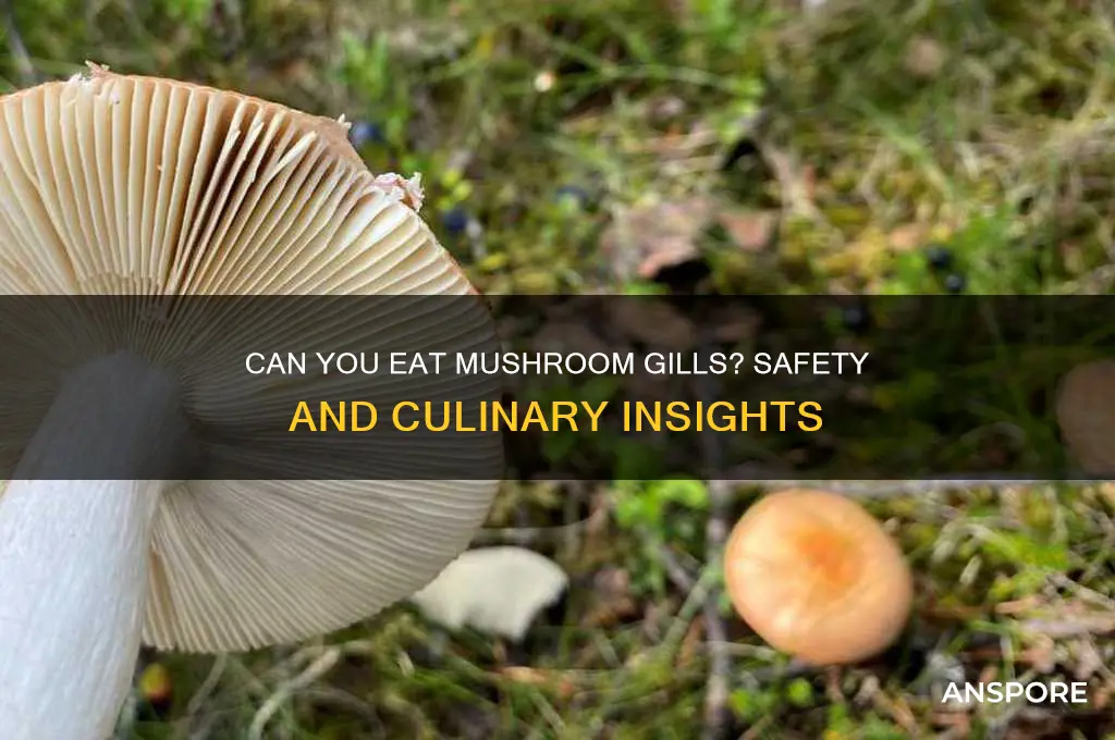 is it okay to eat mushroom gills