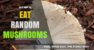 Should You Eat Random Mushrooms? Risks, Safety, and Expert Advice