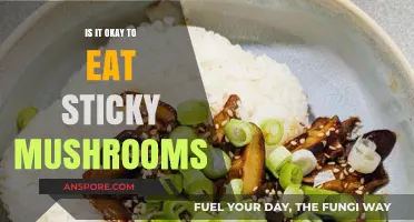Are Sticky Mushrooms Safe to Eat? A Fungal Food Guide