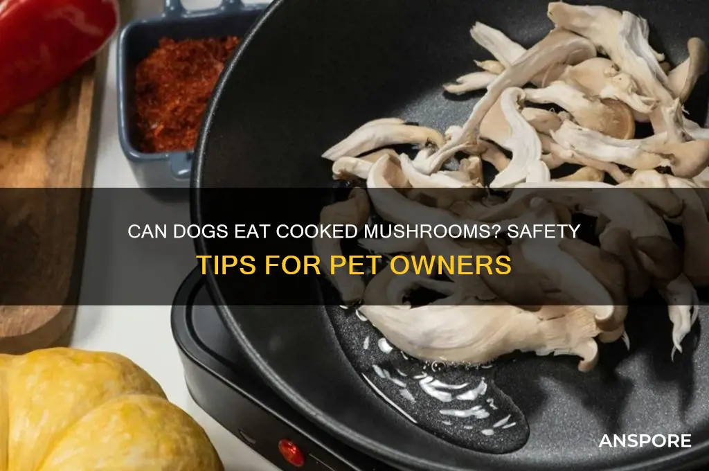 is it okay to feed a dog cooked mushrooms