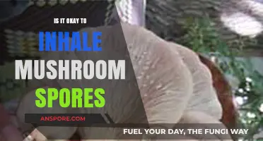 Inhaling Mushroom Spores: Safe Practice or Hidden Health Risk?