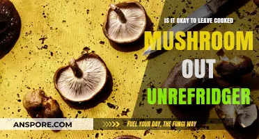 Leaving Cooked Mushrooms Unrefrigerated: Safe or Risky Practice?