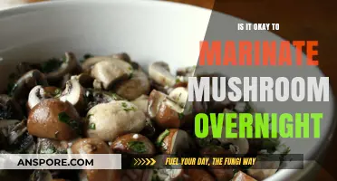 Overnight Mushroom Marinating: Benefits, Risks, and Best Practices Explained