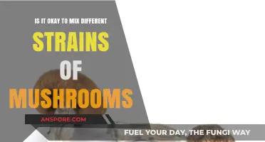 Mixing Mushroom Strains: Safe Practice or Risky Experiment?