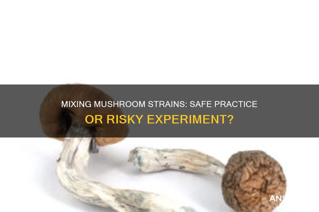 is it okay to mix different strains of mushrooms