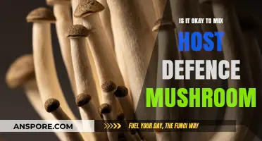 Mixing Host Defense Mushrooms: Safe Combinations or Risky Practice?