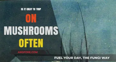 Frequent Mushroom Trips: Safe Practice or Risky Habit?