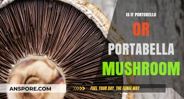 Portobello vs. Portabella: Unraveling the Mushroom Name Mystery