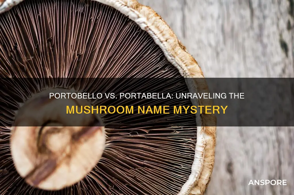 is it portobello or portabella mushrooms