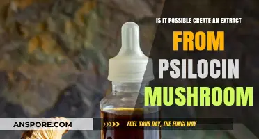 Can Psilocin Mushroom Extracts Be Safely and Effectively Created?