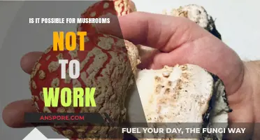 Mushroom Magic: Why Some Trips Fail to Take Off